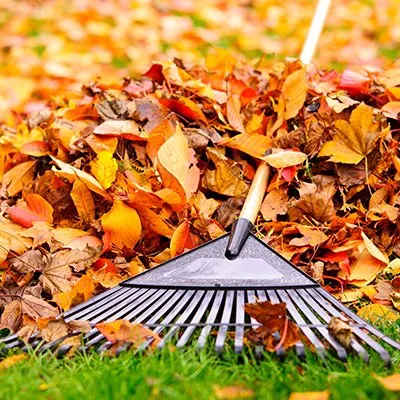 Expert outdoor landscaping in Annapolis, MD by Pineda Landscaping