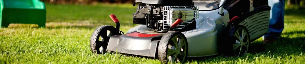 Local landscaping services experts serving Annapolis, MD - Pineda Landscaping