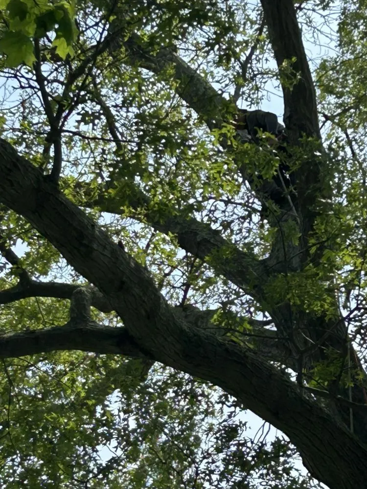 Custom residential landscaping in Brentwood, NY by Pineda Landscaping