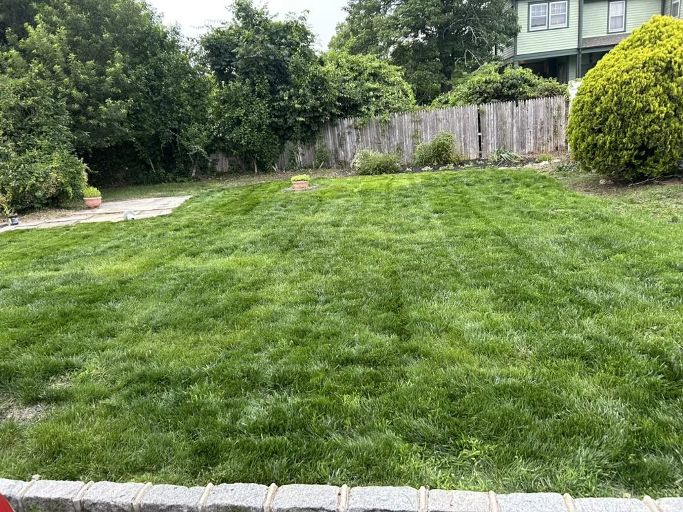 Professional yard cleanup service experts serving Brentwood, NY - Pineda Landscaping