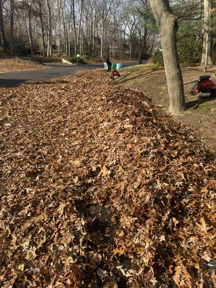 Professional lawn care service with custom design across Brentwood, NY - Pineda Landscaping