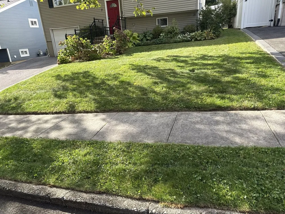 Professional landscape design for beautiful yards across Brentwood, NY - Pineda Landscaping