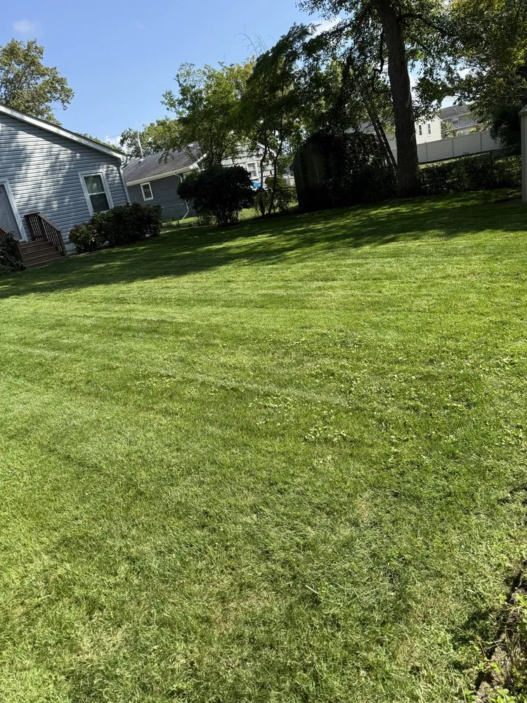 Custom landscape installation in Brentwood, NY by Pineda Landscaping