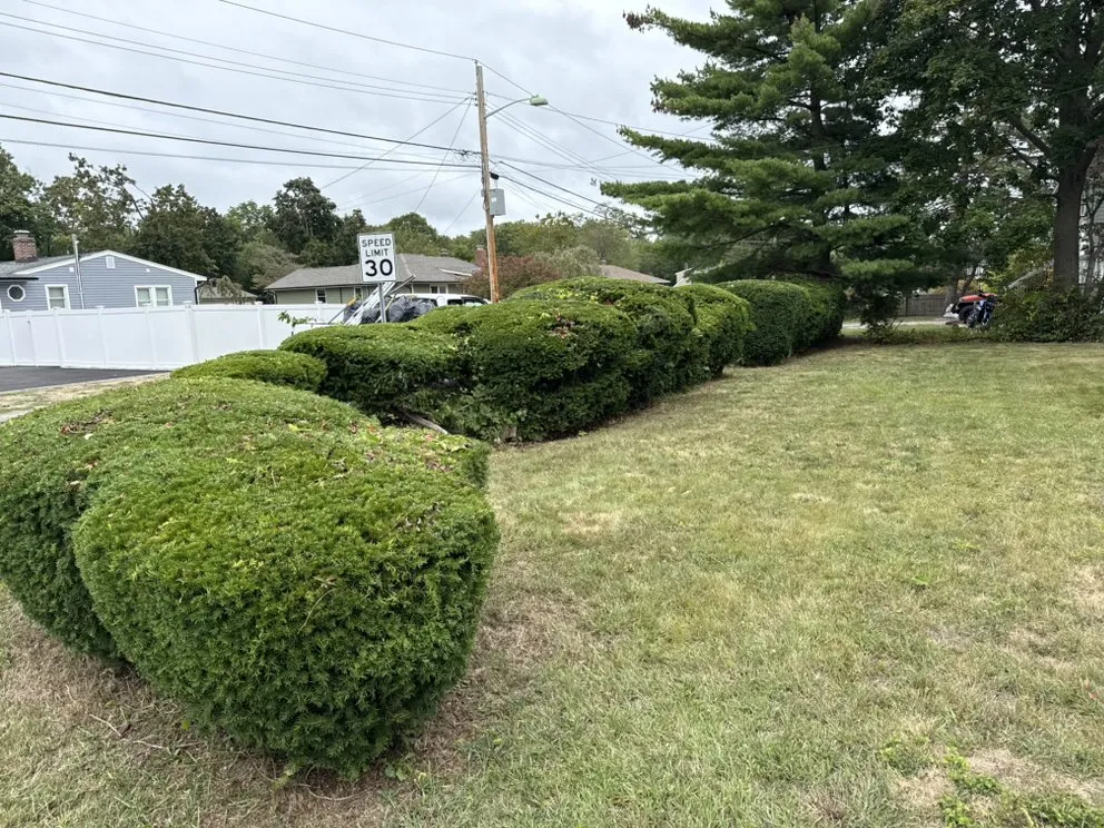 Top-rated garden landscaping for homes in Brentwood, NY by Pineda Landscaping