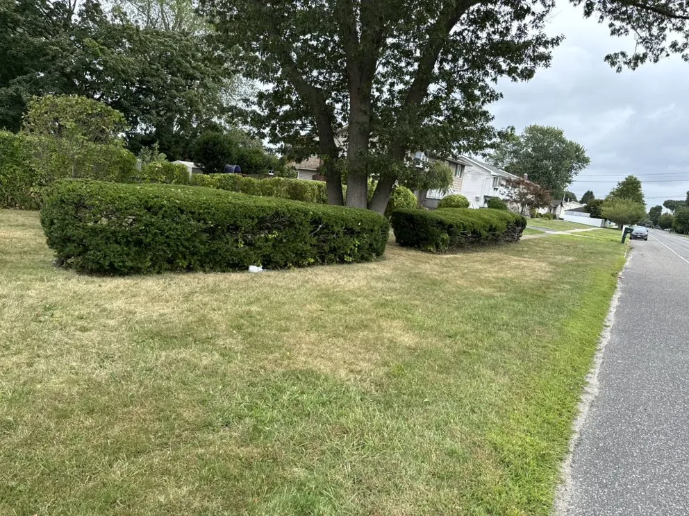 Expert yard cleanup service in Brentwood, NY - Pineda Landscaping