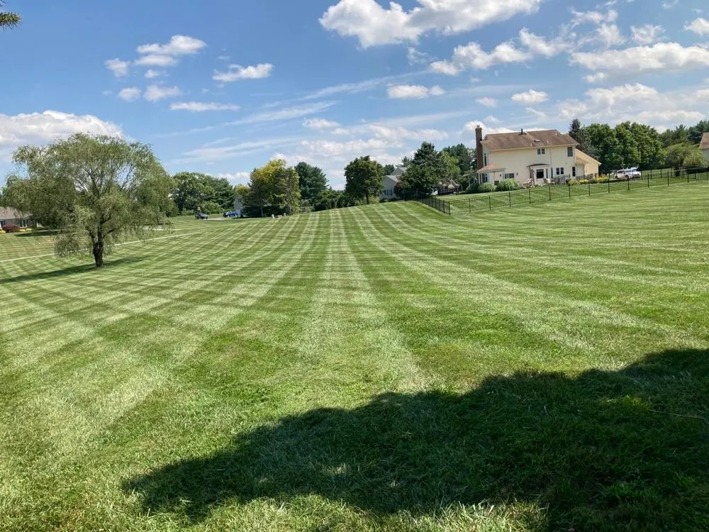 Reliable outdoor landscaping in Columbia, MD by Pineda Landscaping