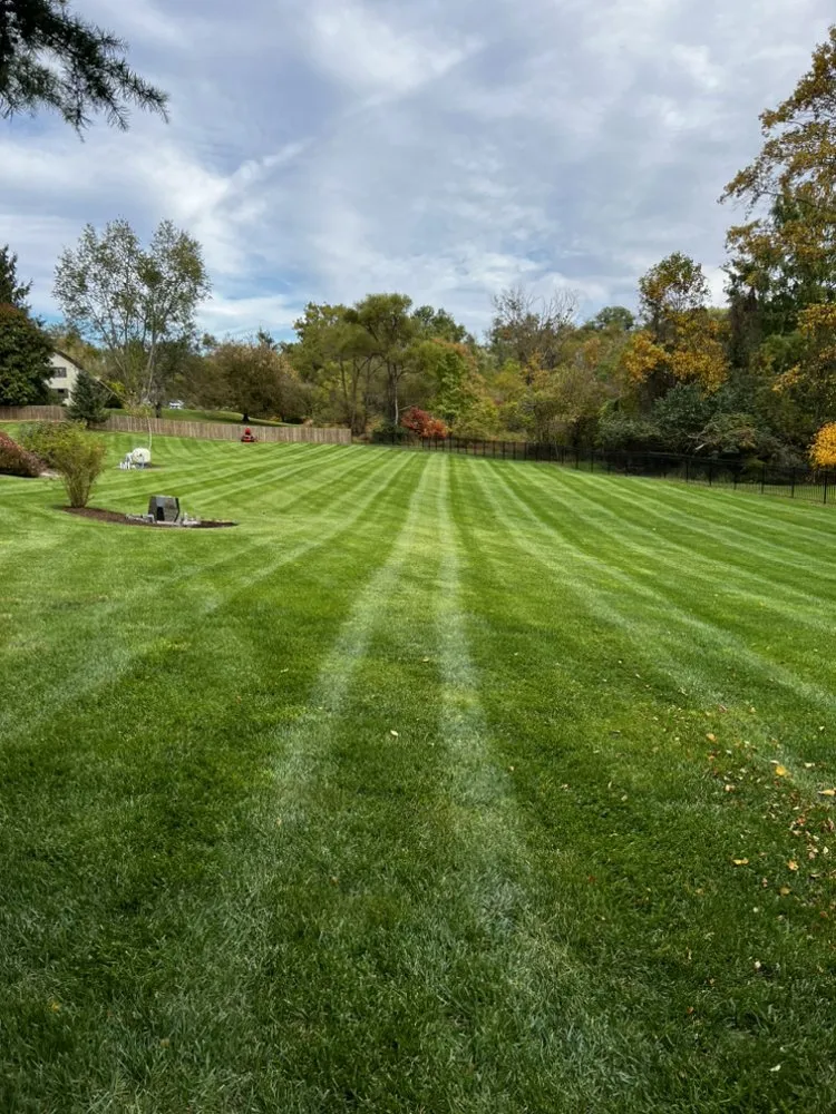 Professional landscape design in Columbia, MD - Pineda Landscaping
