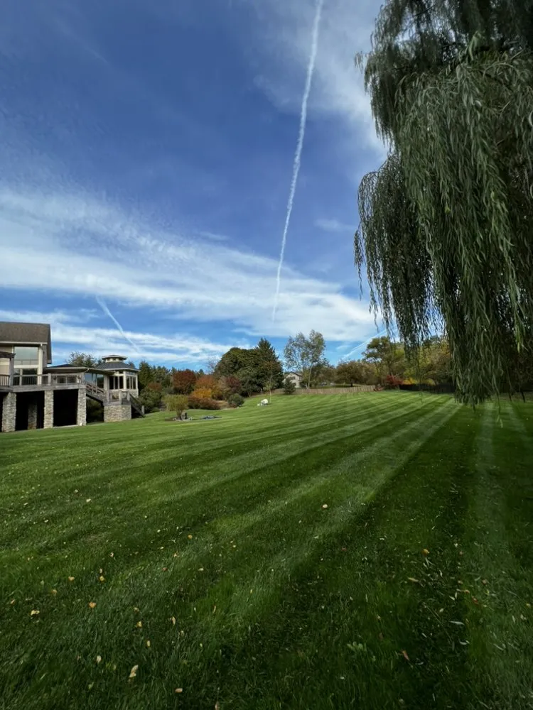 Trusted lawn care service in Columbia, MD by Pineda Landscaping