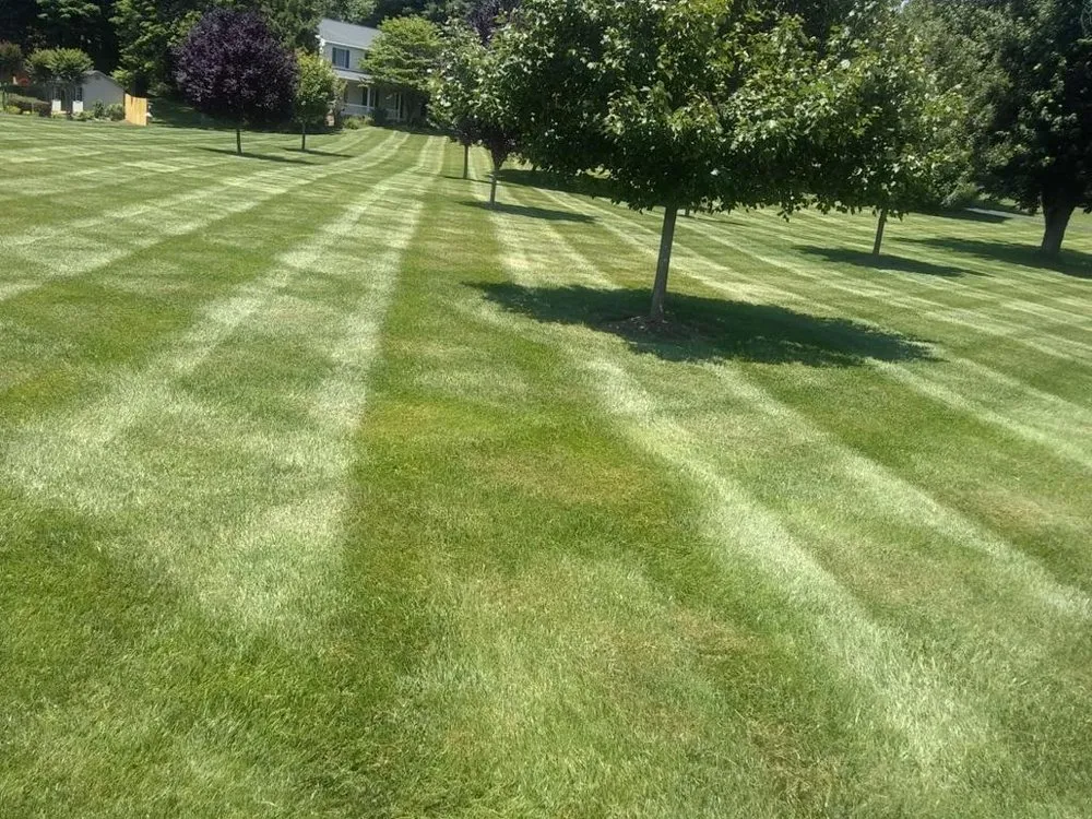 Trusted yard cleanup service in Columbia, MD - Pineda Landscaping