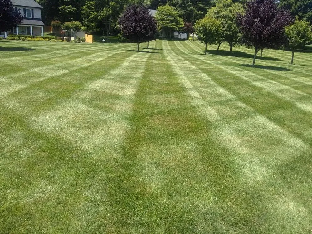 Professional landscape design for homes in Columbia, MD by Pineda Landscaping