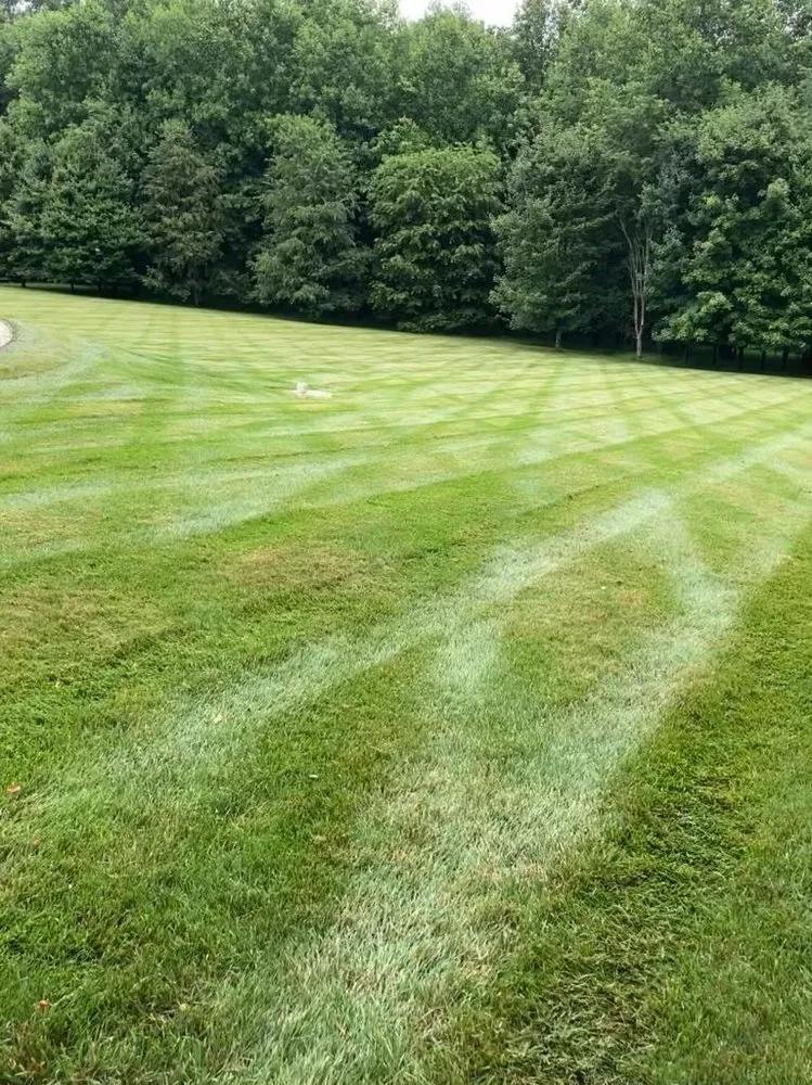 Custom garden landscaping for outdoor upgrades across Columbia, MD - Pineda Landscaping