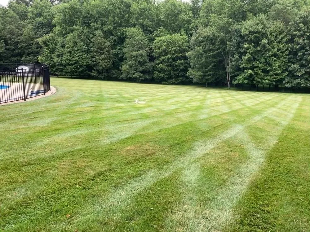 Expert residential landscaping experts serving Columbia, MD - Pineda Landscaping