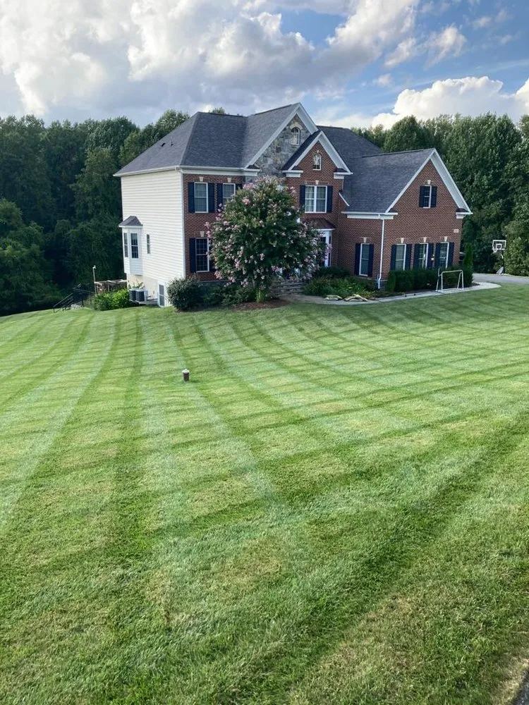Reliable yard cleanup service for residential properties across Columbia, MD - Pineda Landscaping