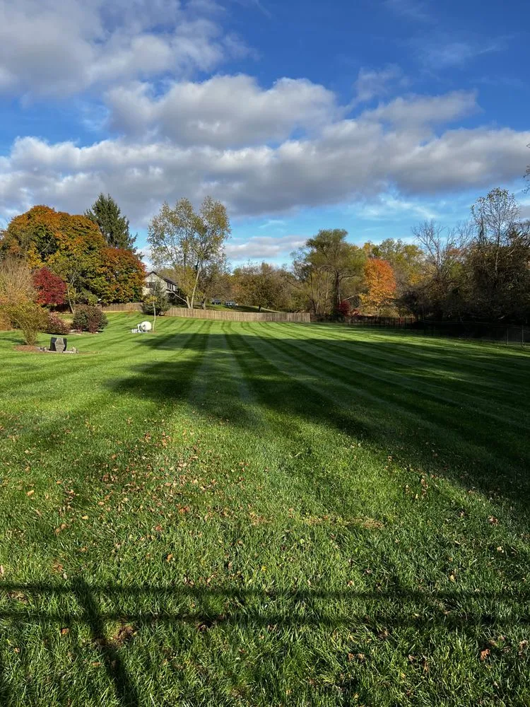 Professional lawn care service in Columbia, MD by Pineda Landscaping