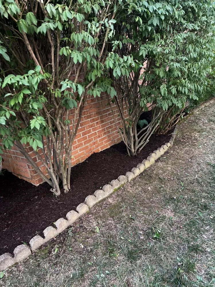 Local lawn care service in Columbia, MD by Pineda Landscaping