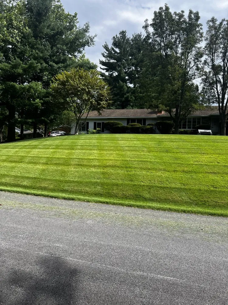 Expert yard maintenance for homes in Columbia, MD by Pineda Landscaping