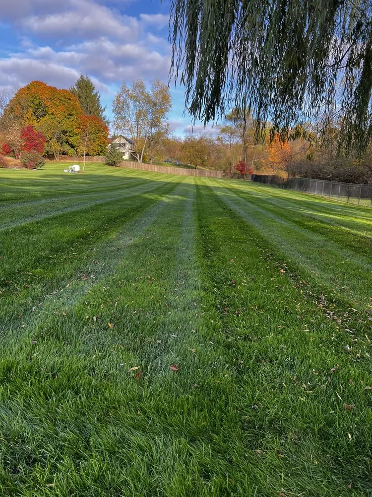 Professional outdoor landscaping in Columbia, MD by Pineda Landscaping