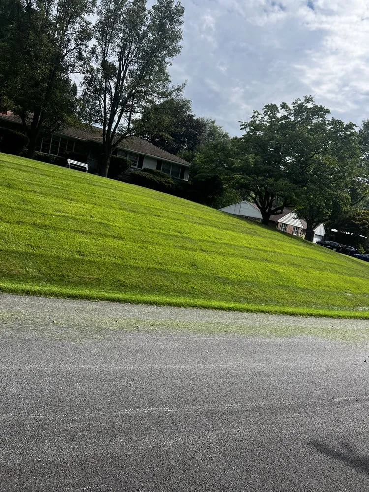 Trusted landscape installation for beautiful yards in Columbia, MD by Pineda Landscaping