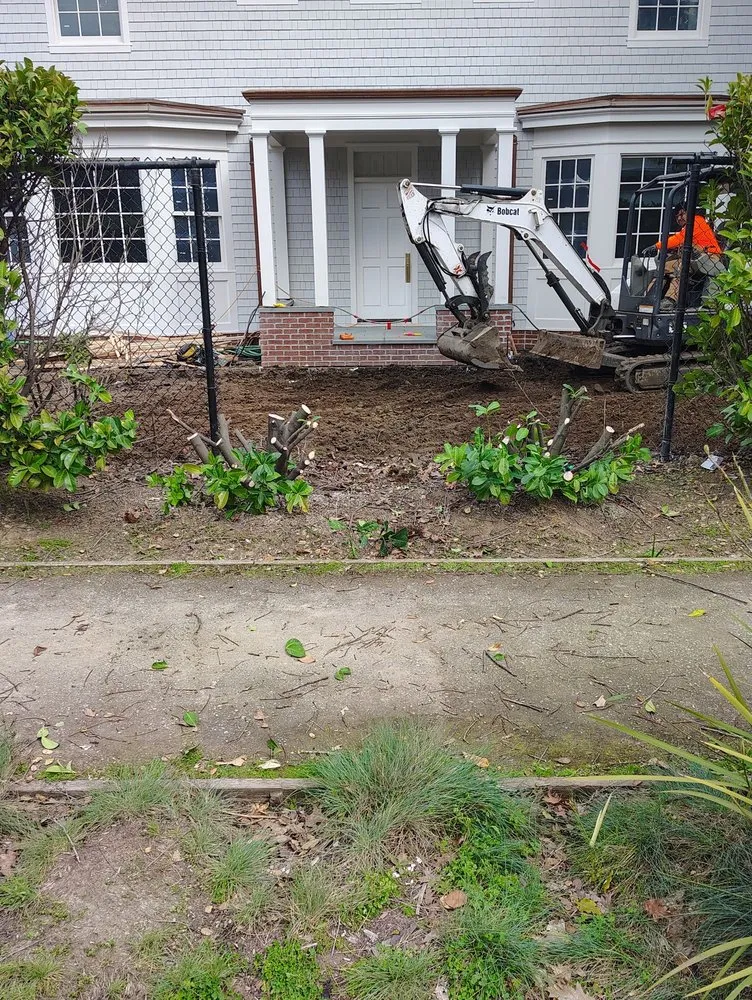 Reliable landscaping services in San Mateo, CA by Pineda Landscaping
