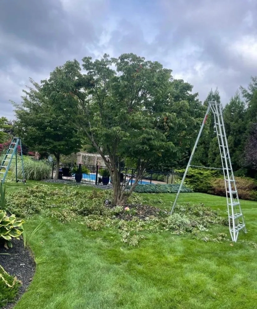 Top-rated lawn care service for outdoor upgrades in Smithtown, NY by Pineda Landscaping