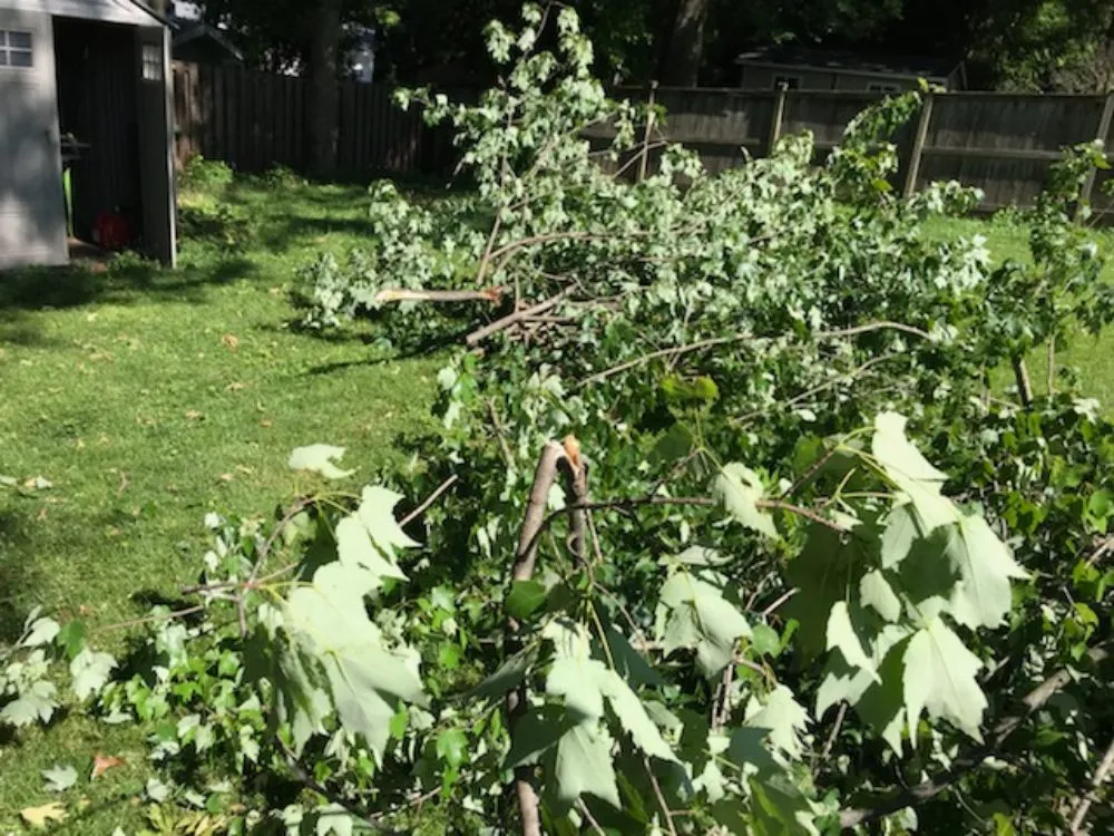 Custom garden landscaping for beautiful yards across Lincolnia, VA - Pineda lawn care