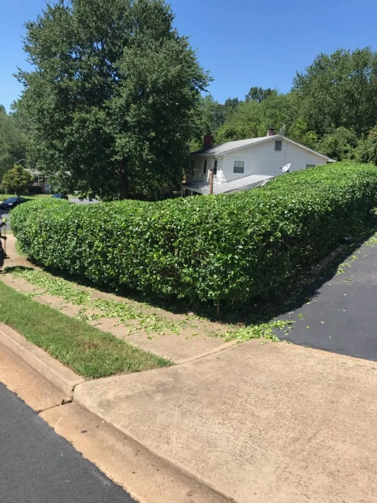 Local residential landscaping for beautiful yards across Lincolnia, VA - Pineda lawn care