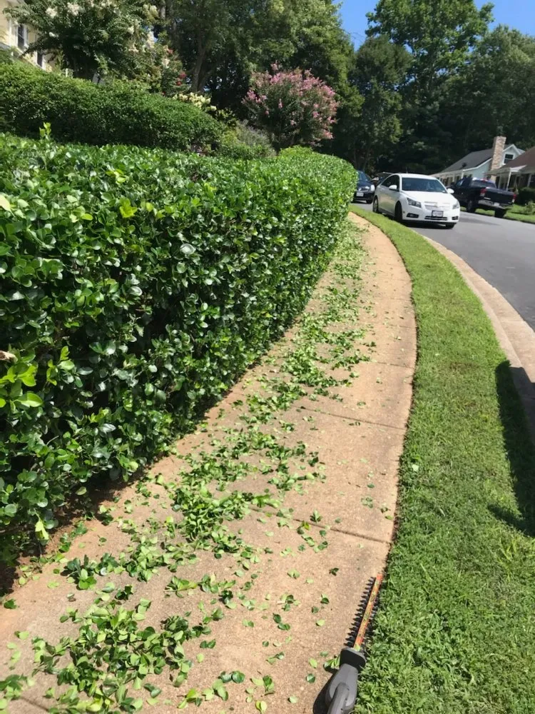 Professional landscape design for beautiful yards across Lincolnia, VA - Pineda lawn care