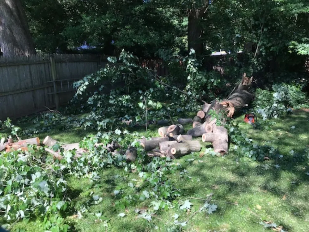 Trusted lawn care service experts serving Lincolnia, VA - Pineda lawn care