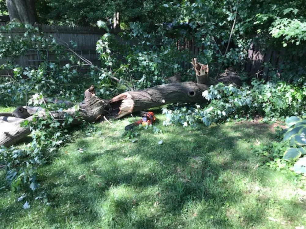 Custom lawn mowing service in Lincolnia, VA - Pineda lawn care