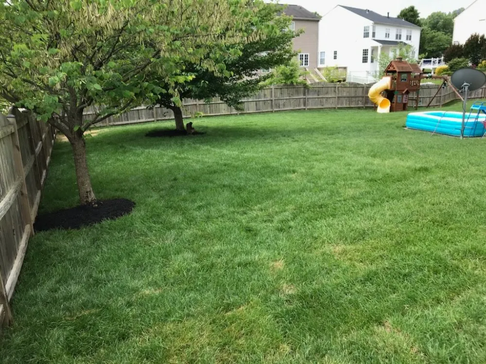 Custom landscaping services experts serving Lincolnia, VA - Pineda lawn care