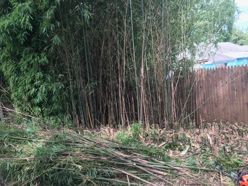 Local garden landscaping in Lincolnia, VA - Pineda lawn care