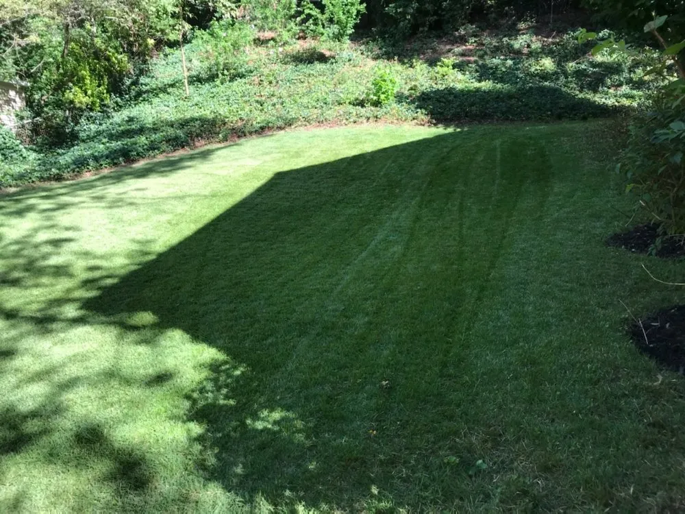 Reliable landscaping services in Lincolnia, VA by Pineda lawn care