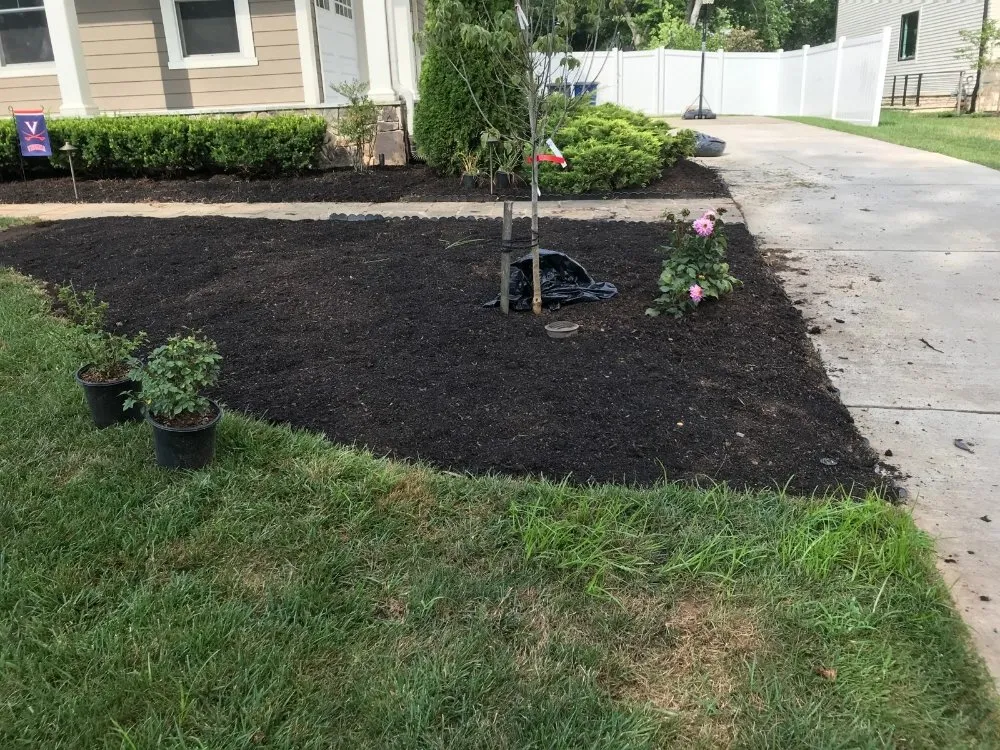 Local yard cleanup service in Lincolnia, VA - Pineda lawn care