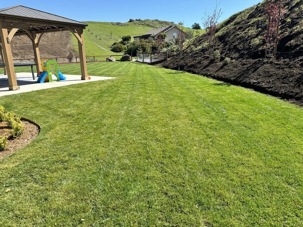 Professional landscape design for homes in Paso Robles, CA by Pineda Lawn Care