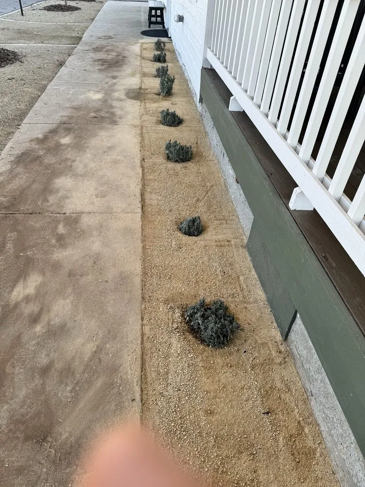 Affordable residential landscaping in Paso Robles, CA by Pineda Lawn Care