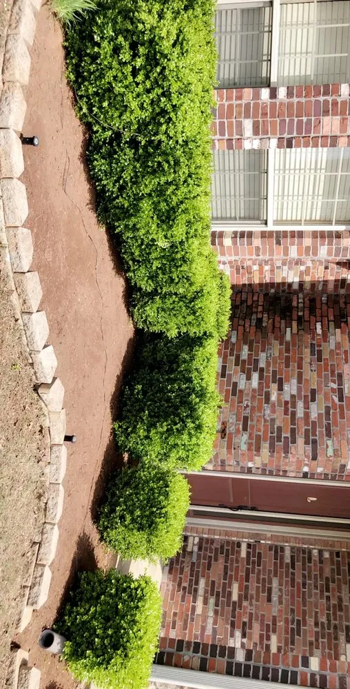 Top-rated yard maintenance in Van Buren, AR - Pineda Lawn Maintenance & Pest Control