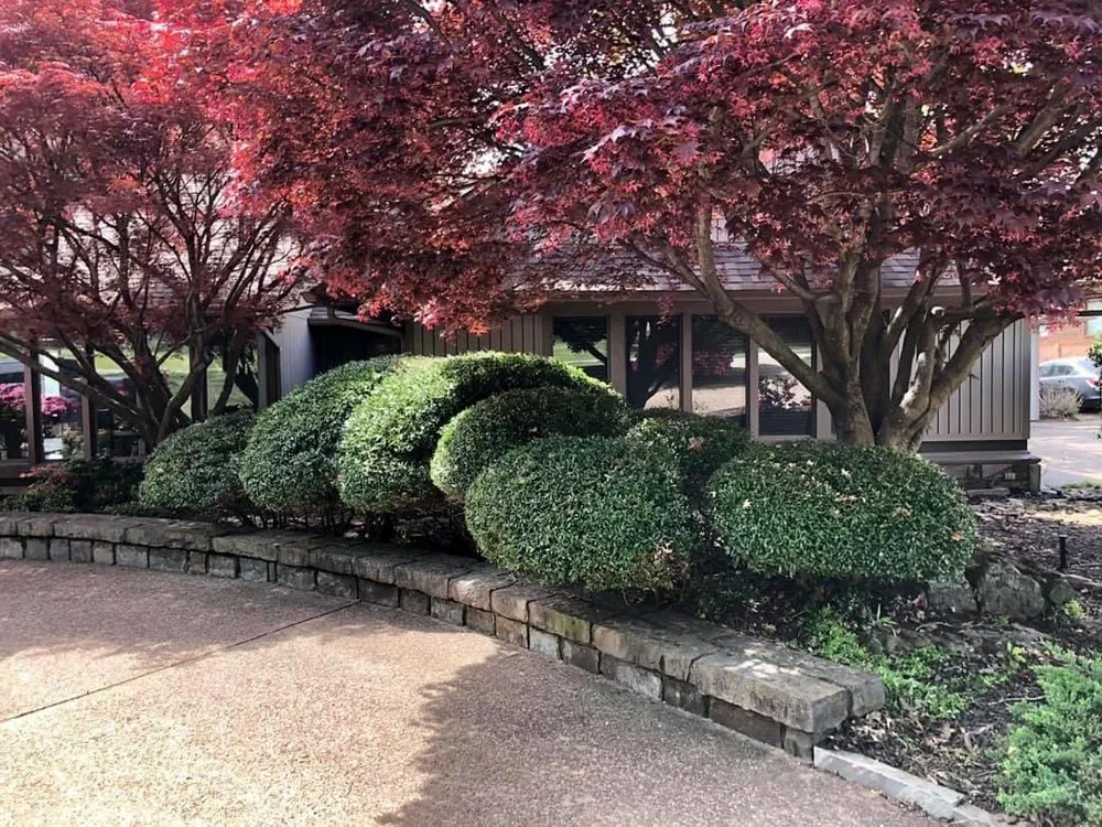 Top-rated landscaping services for homes across Van Buren, AR - Pineda Lawn Maintenance & Pest Control