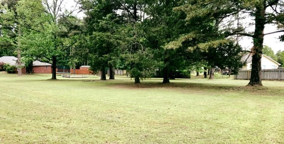 Trusted yard maintenance experts serving Van Buren, AR - Pineda Lawn Maintenance & Pest Control