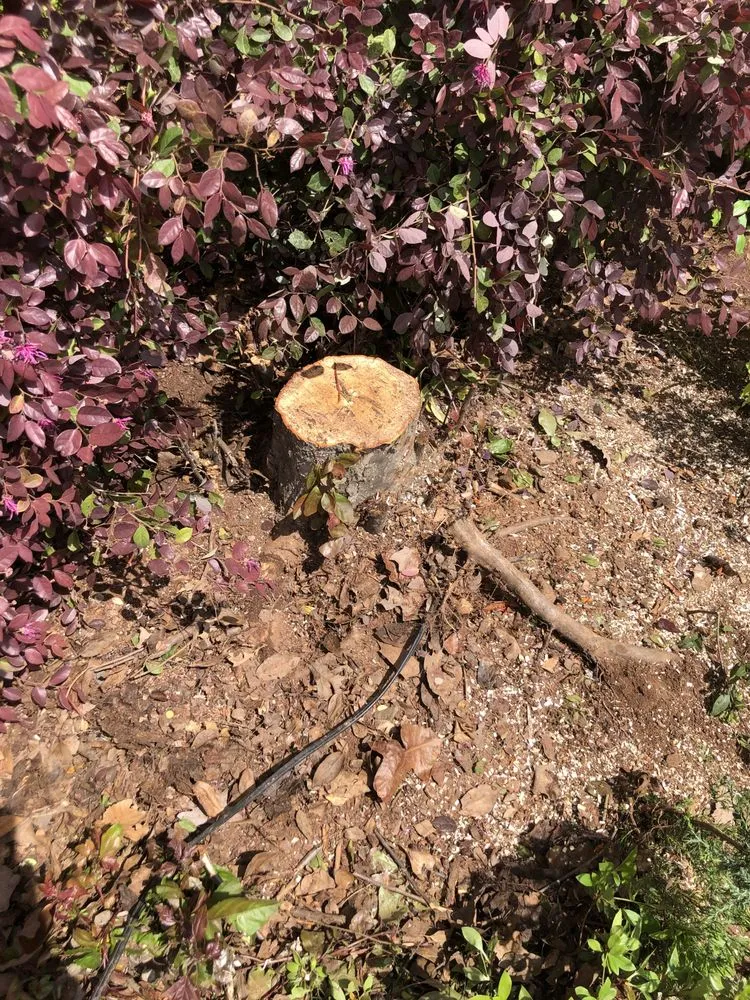 Professional residential landscaping near you across Van Buren, AR - Pineda Lawn Maintenance & Pest Control