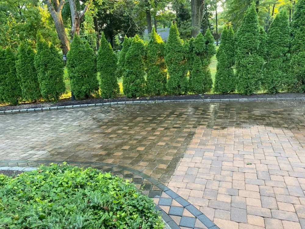 Expert yard cleanup service for residential properties in Elizabeth, NJ by Pineda Seamless Gutters And Landscaping