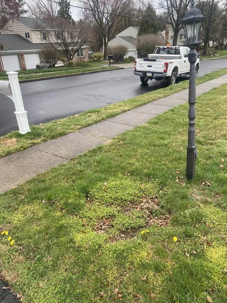 Expert outdoor landscaping experts serving Eddington, PA - Pineda Tree & Lawn Services