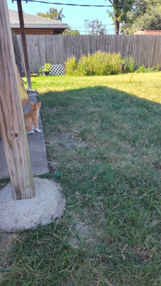 Trusted outdoor landscaping for outdoor upgrades in Houston, TX by Pinedas Lawn Service