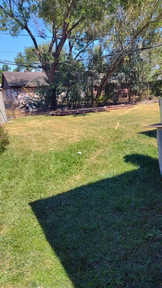 Professional lawn mowing service for outdoor upgrades in Houston, TX by Pinedas Lawn Service