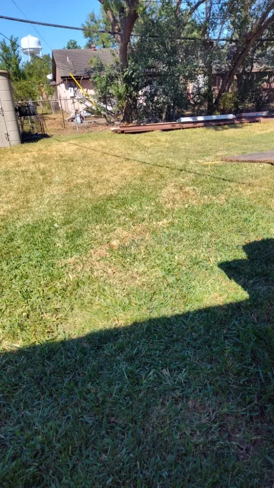 Top-rated landscape design in Houston, TX - Pinedas Lawn Service