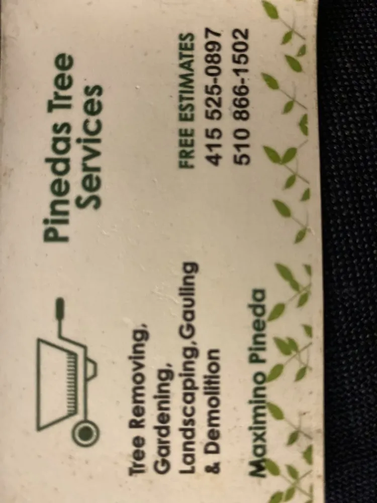 Professional landscaping services in San Pablo, CA by Pinedas Tree Service