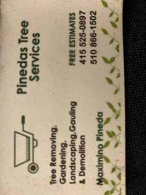 Pinedas Tree Service Logo