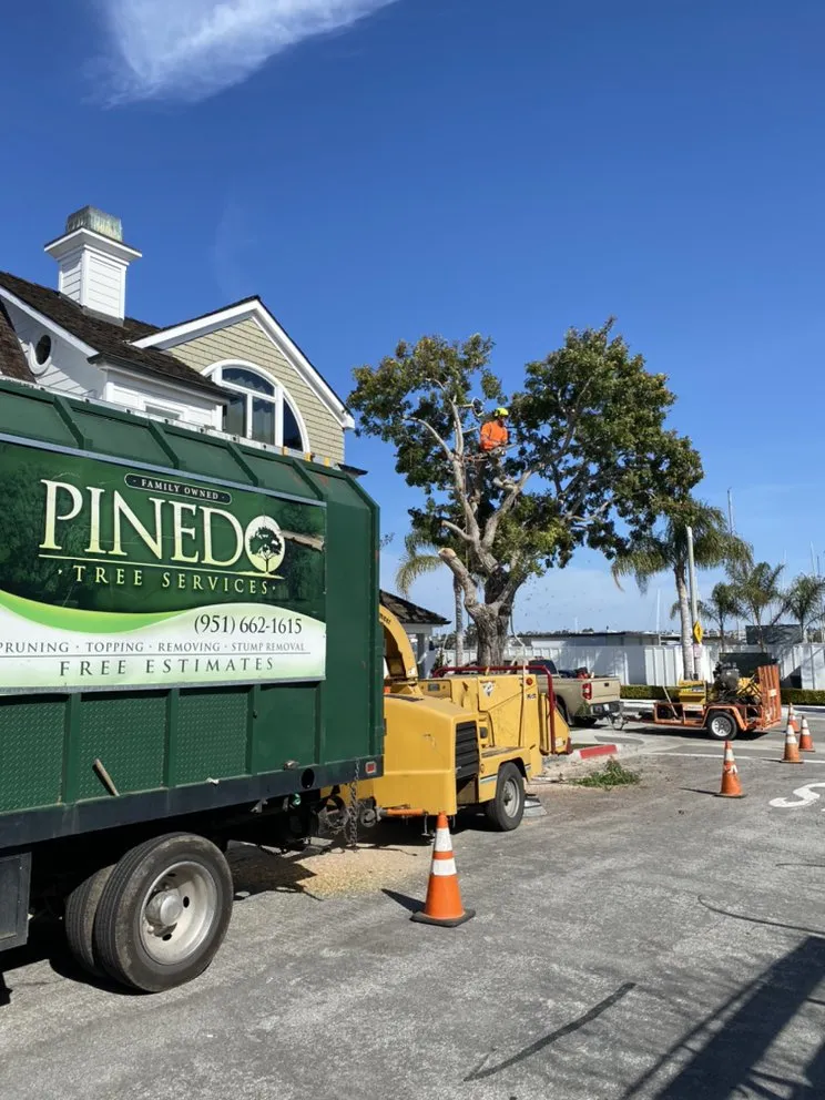 Trusted residential landscaping experts serving Mira Loma, CA - Pinedo Tree Service