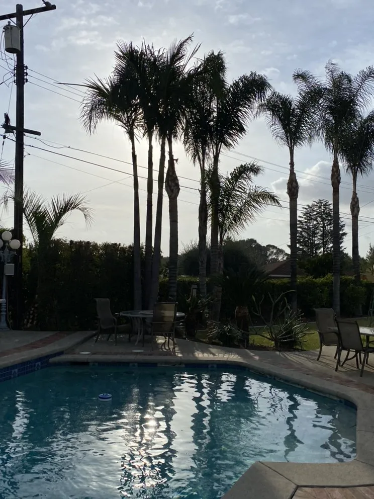 Expert garden landscaping for year-round maintenance across Mira Loma, CA - Pinedo Tree Service