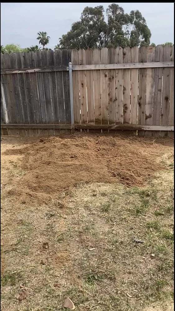 Professional lawn care service with custom design across Mira Loma, CA - Pinedo Tree Service