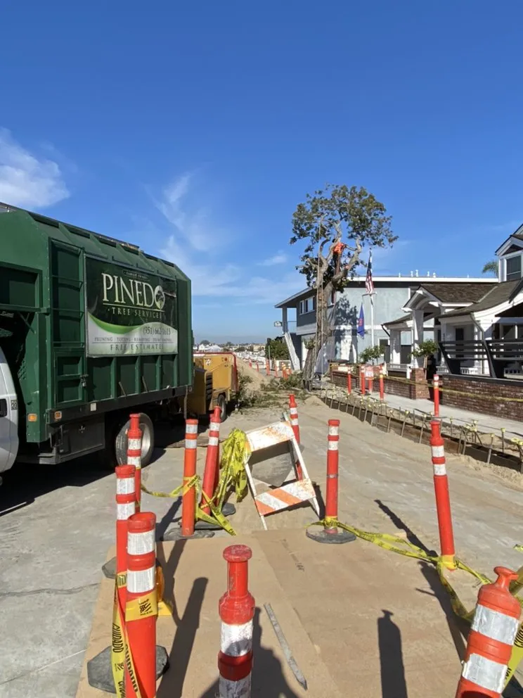 Local landscaping services in Mira Loma, CA by Pinedo Tree Service